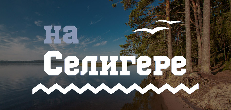 сбитый самолет на дне озера